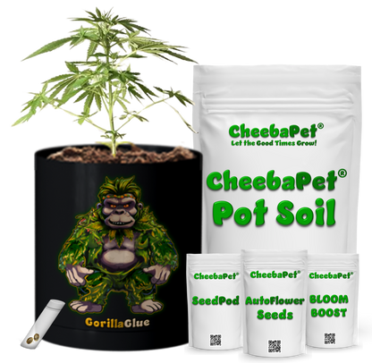 CheebaPet Planter Kit - GorillaGlue