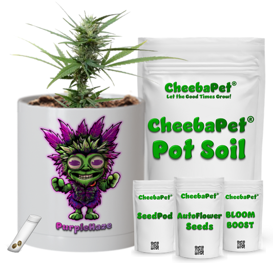 CheebaPet Planter Kit - PurpleHaze