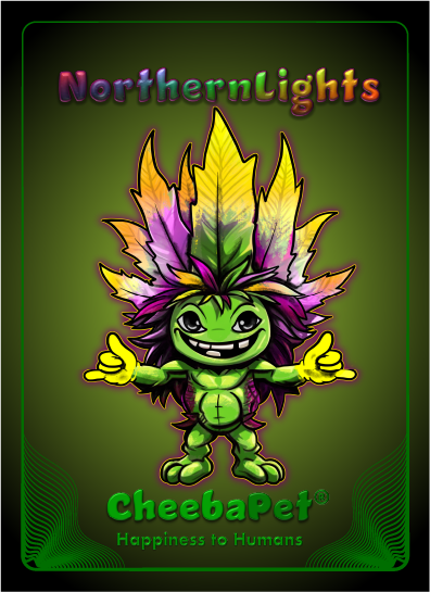 CheebaPet Planter Kit - NorthernLights