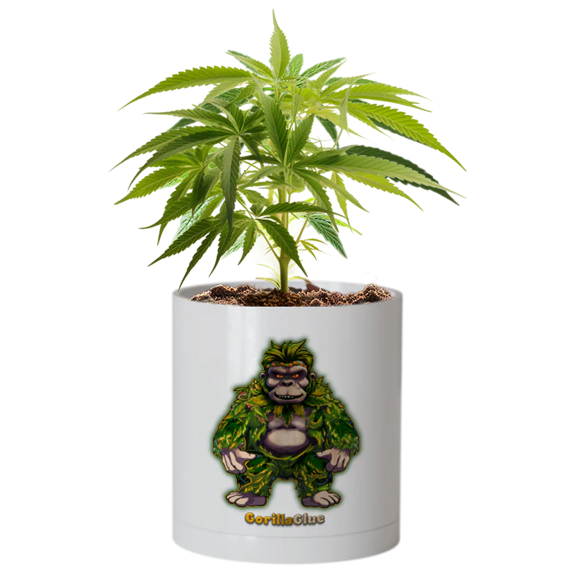 CheebaPet Planter Kit - GorillaGlue